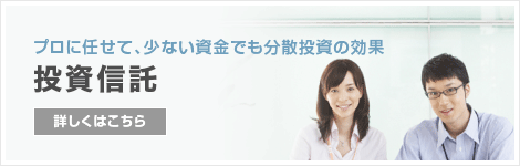 プロに任せて、少ない資金でも分散投資の効果 投資信託